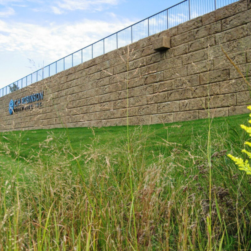 LeSueur County Limestone 2